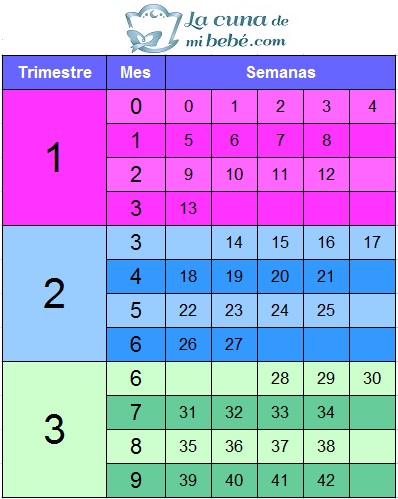 semanas de embarazo en meses y trimestres
