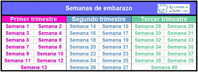 de cuantos meses estoy embarazada