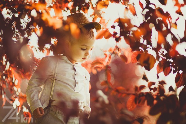 book fotografico con bebes book fotografico con bebes
