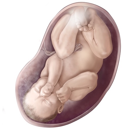 semana 37 de embarazo
