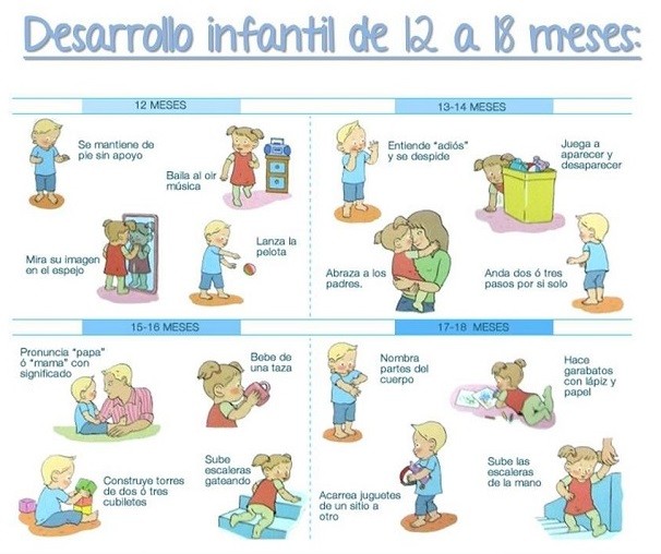desarrollo bebe 12 a 18 meses